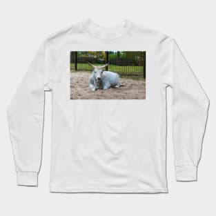 White Hungarian Grey cow Long Sleeve T-Shirt